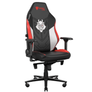 Snax's SETUP — Secretlab Titan G2 Edition